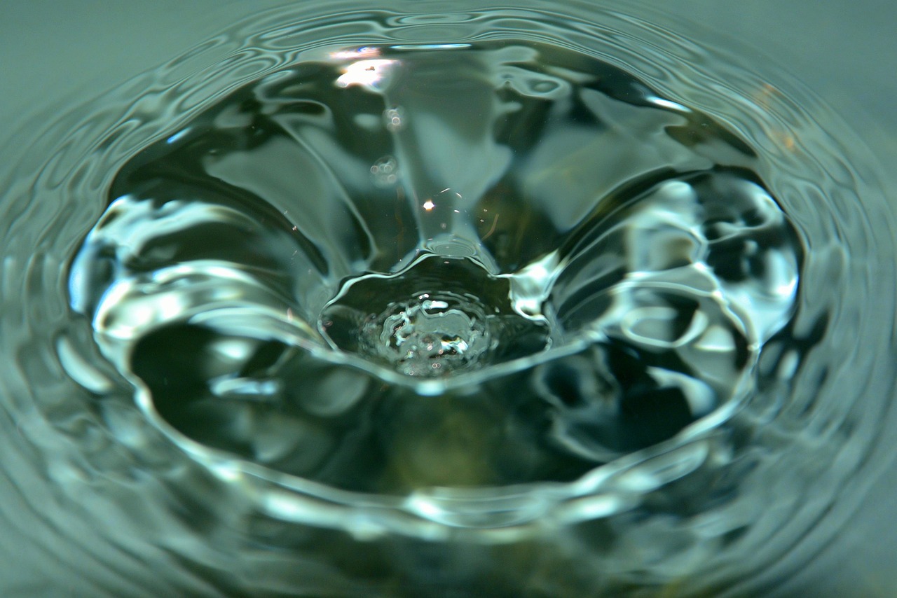 排水口掃除の重要性